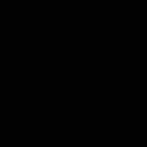 Meet your Posher, Bryce